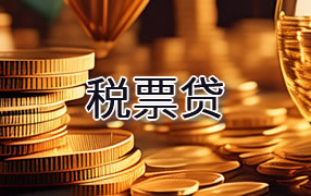 巴中税票贷